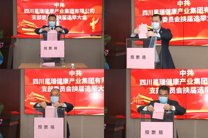 中共四川星瑞健康产业集团有限公司支部委员会换届选举大会胜利召开(图12)