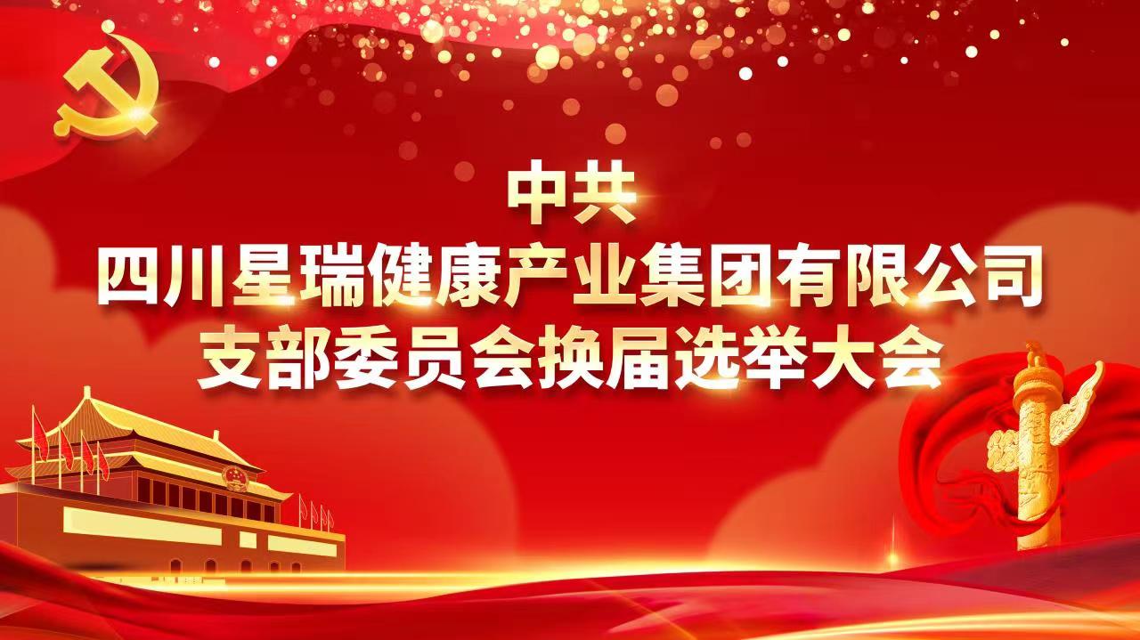 中共四川星瑞健康产业集团有限公司支部委员会换届选举大会胜利召开(图1)