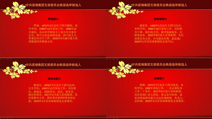 中共四川星瑞健康产业集团有限公司支部委员会换届选举大会胜利召开(图10)