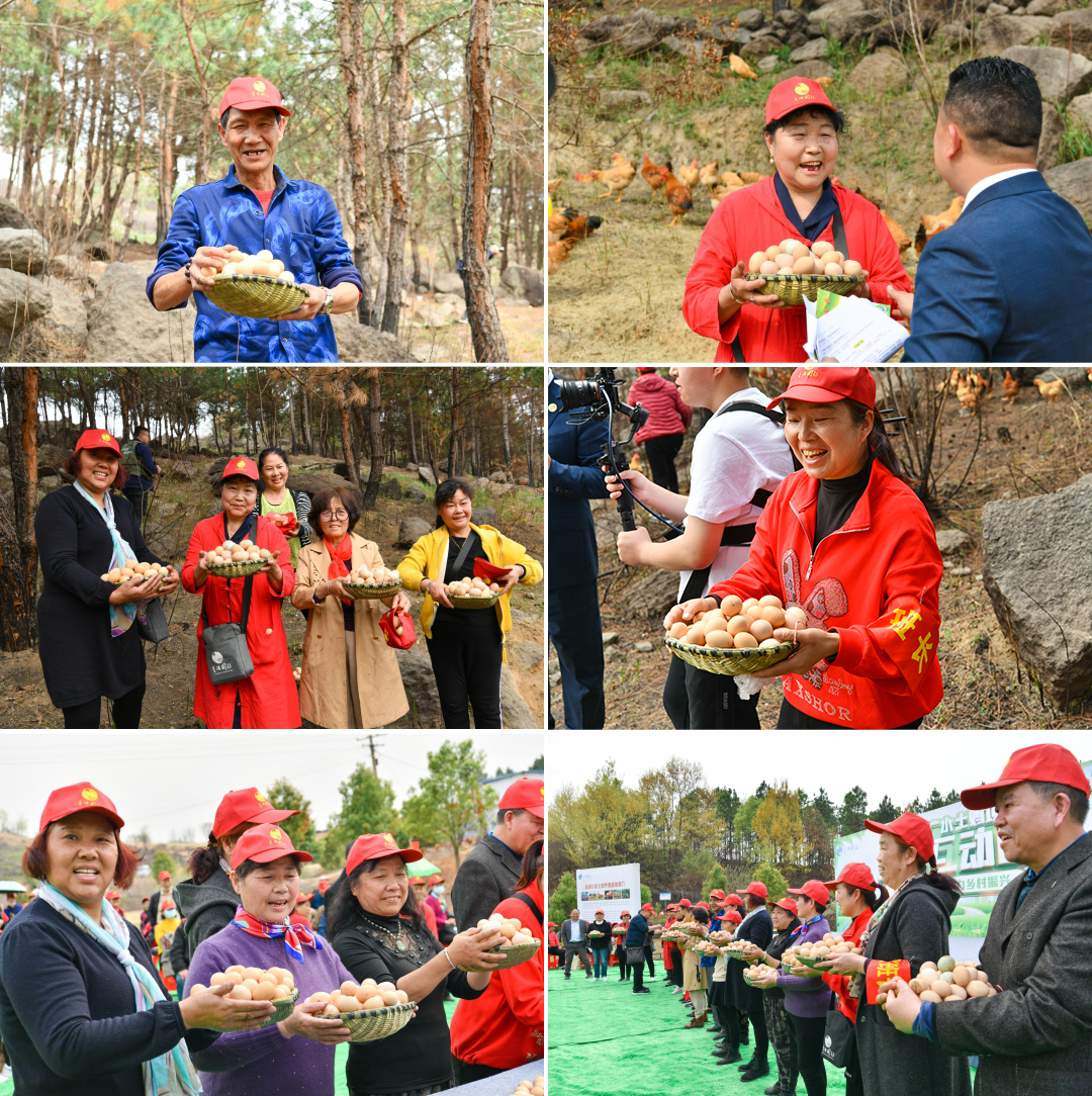 做优特色农业 助力乡村振兴 ——星瑞集团广水土鸡项目推进仪式在湖北广水举行(图14)