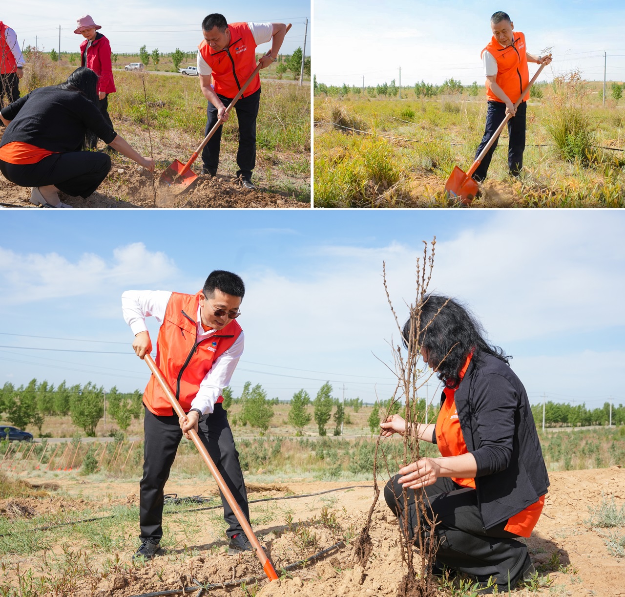 垦荒先锋路 漫漫边疆情  ——沙棘种植公益行动暨太阳石沙棘种植专业合作社成立仪式在新疆阿勒泰成功举行(图11)