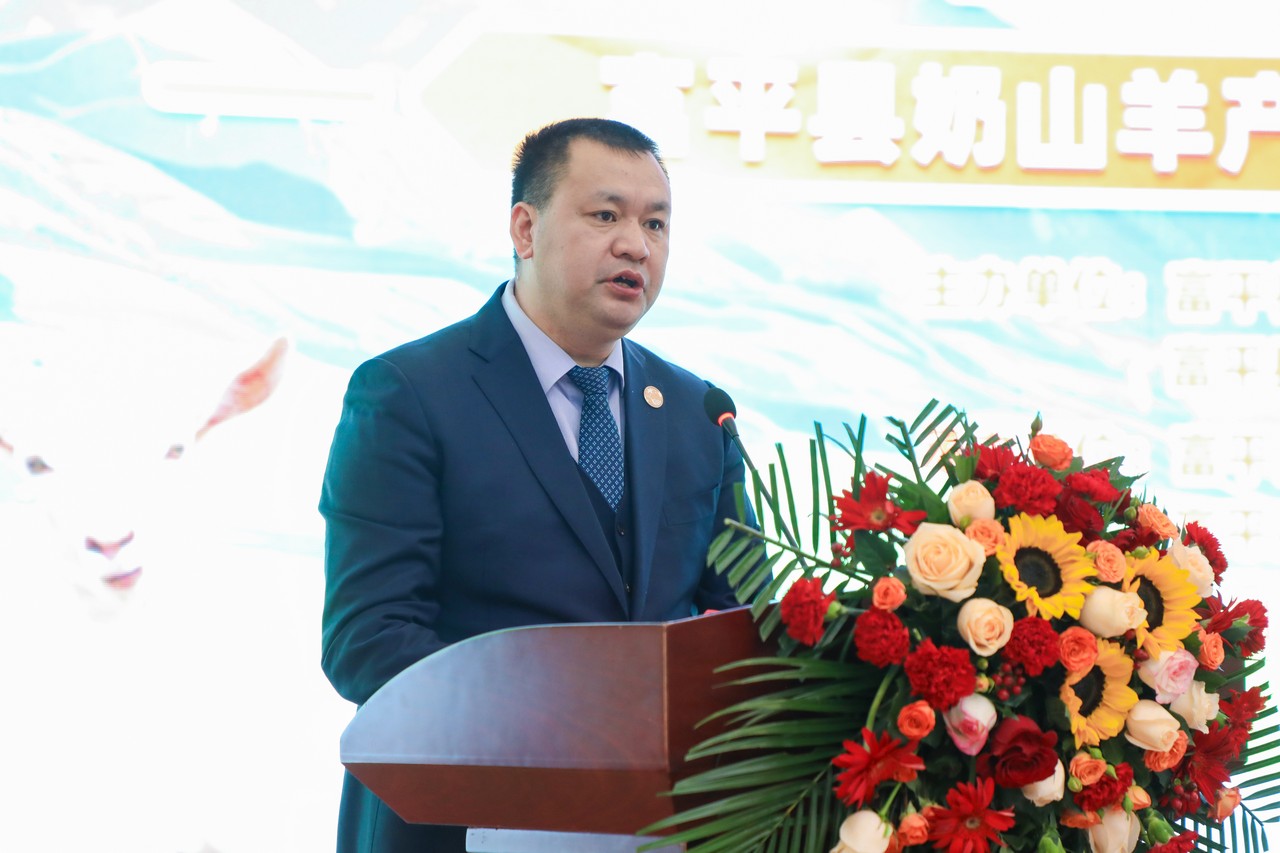 乡村振兴结硕果 只争朝夕再出发——富平县奶山羊产业高质量发展推进会成功举行(图5)