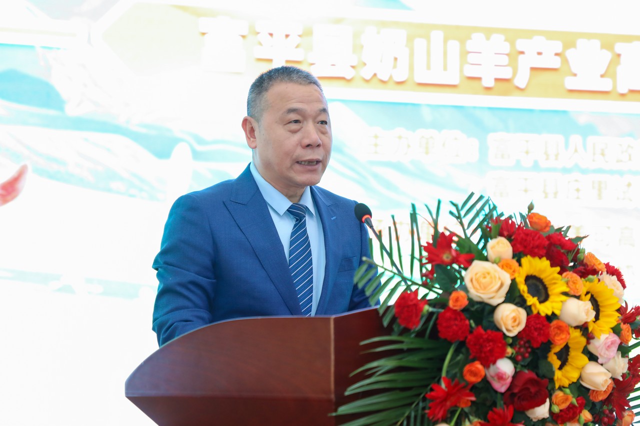 乡村振兴结硕果 只争朝夕再出发——富平县奶山羊产业高质量发展推进会成功举行(图10)