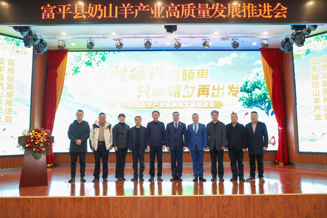 乡村振兴结硕果 只争朝夕再出发——富平县奶山羊产业高质量发展推进会成功举行(图13)