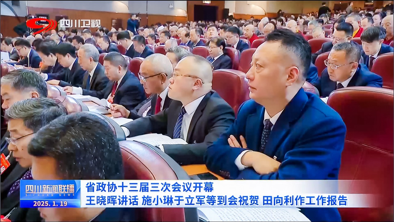 吕状文董事长出席中国人民政治协商会议四川省第十三届委员会第三次会议(图3)