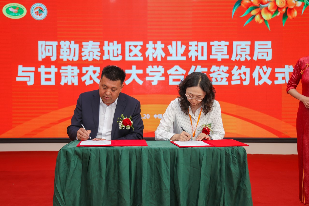 星瑞集团参与承办的中国阿勒泰大果沙棘专家委员会成立仪式暨沙棘产业发展高峰论坛在阿勒泰成功举行(图14)