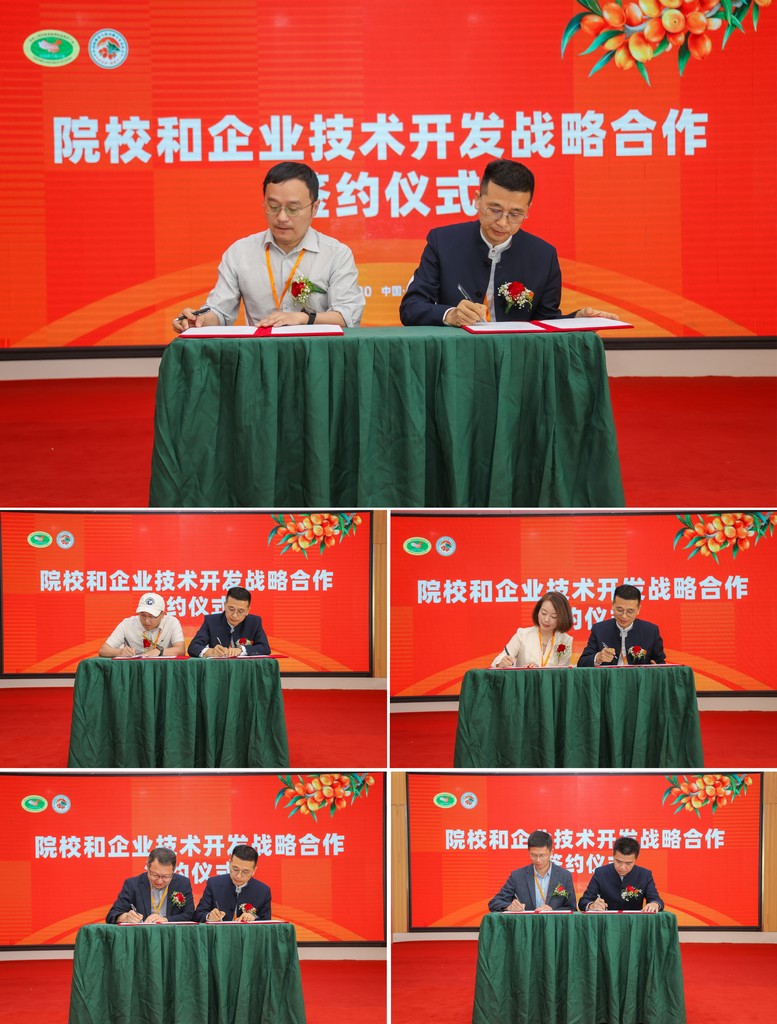 星瑞集团参与承办的中国阿勒泰大果沙棘专家委员会成立仪式暨沙棘产业发展高峰论坛在阿勒泰成功举行(图15)