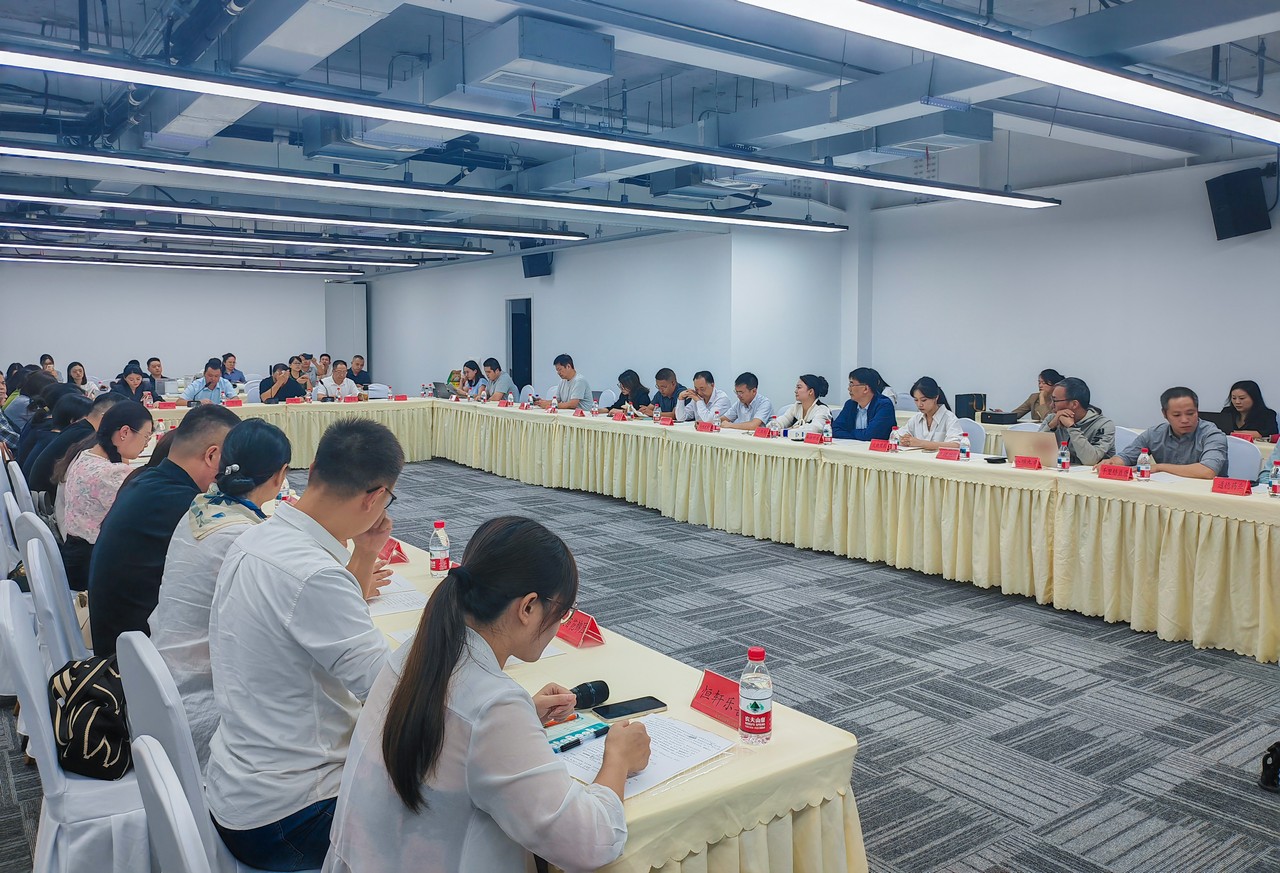 执行总裁莫勇出席“银发优选·成都造”——成都银发经济制造业产品供需对接活动并发言(图6)