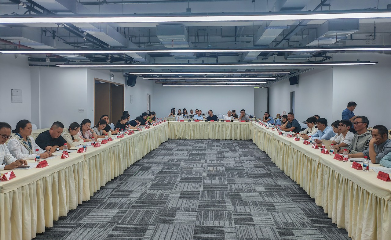 执行总裁莫勇出席“银发优选·成都造”——成都银发经济制造业产品供需对接活动并发言(图7)