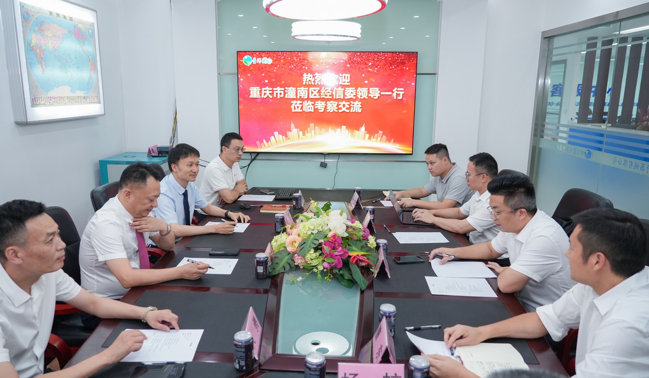 重庆市潼南区经信委领导莅临星瑞集团考察交流(图2)