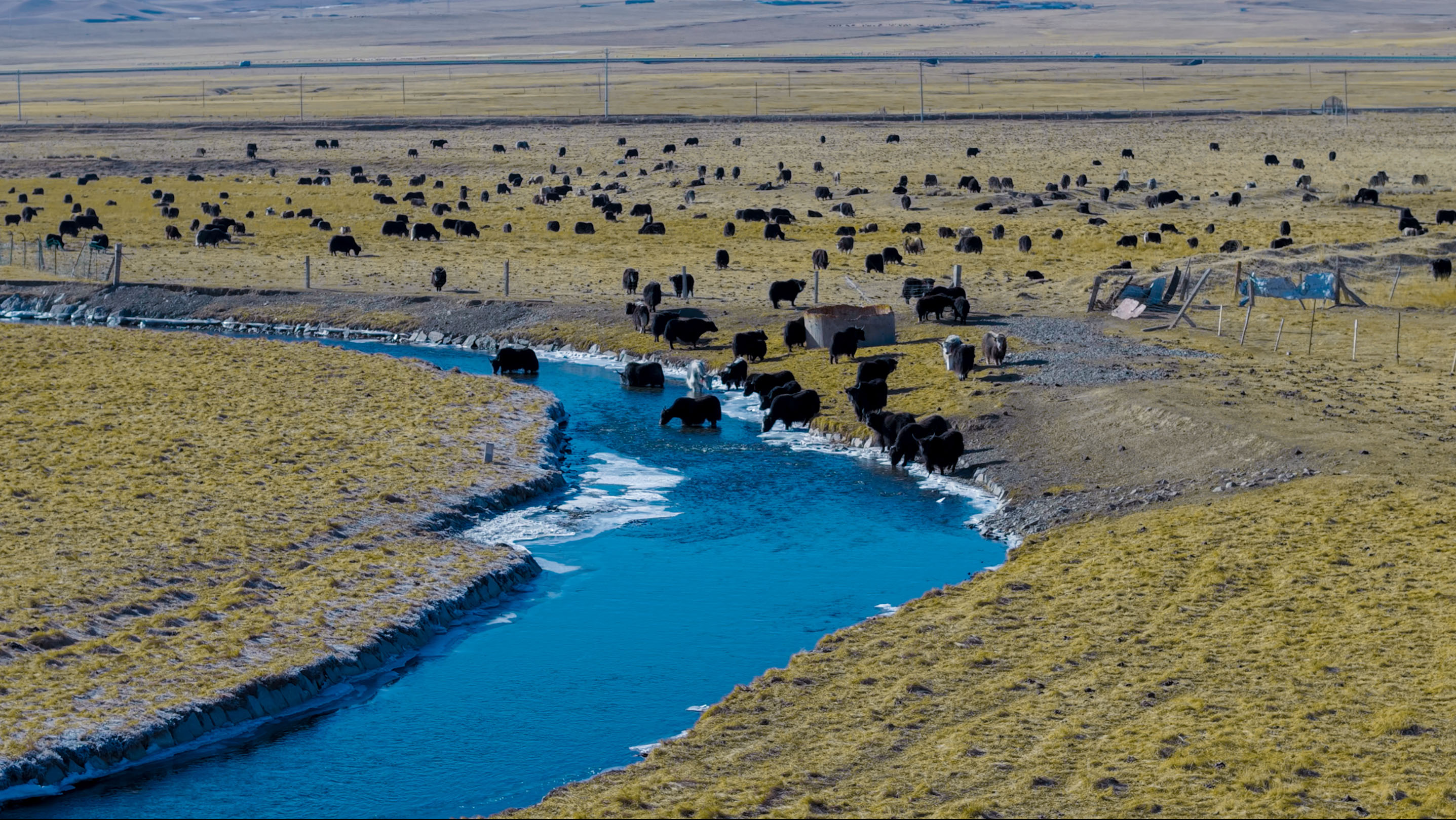 开元ky棋8924与三江源生态保护基金会座谈交流会在青海西宁召开(图6)