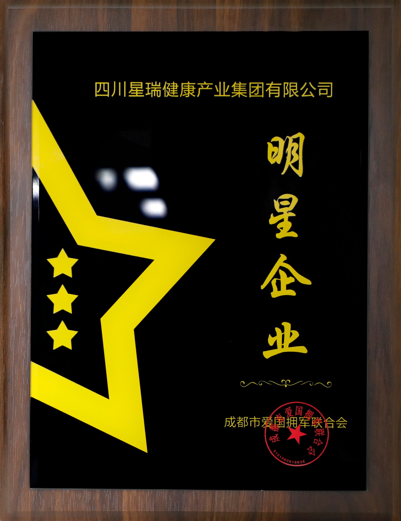 爱国拥军联合会明星企业