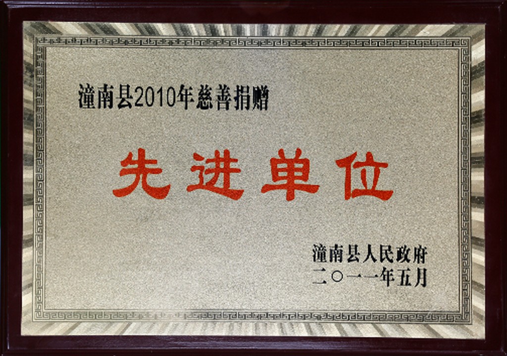 潼南县2010年慈善捐赠先进单位(图1)