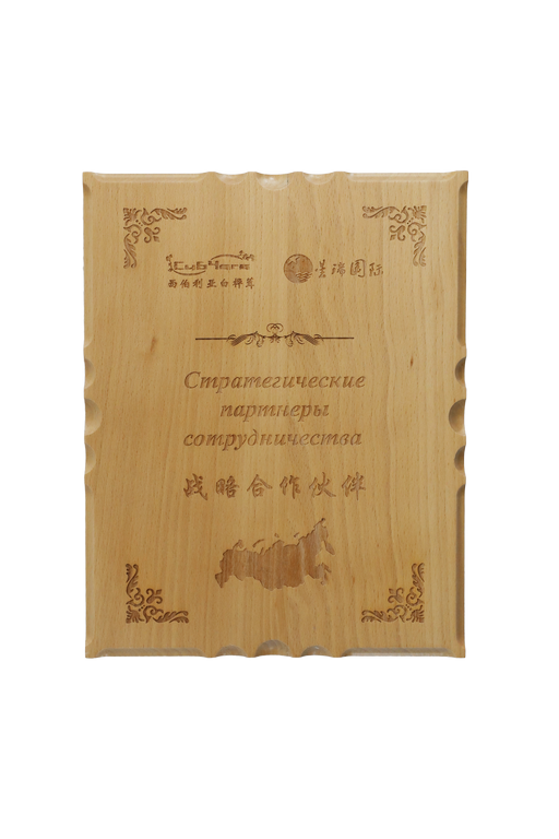 西伯利亚白桦茸战略合作伙伴(图1)
