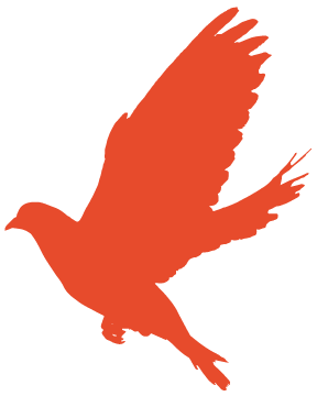 星瑞党建(图1)
