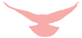 星瑞党建(图3)