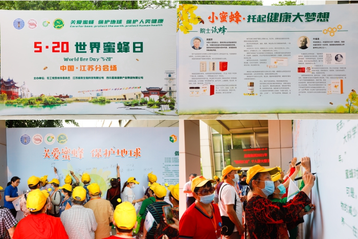 探寻泰州城 发现蜂泰美——星瑞集团2021年“醉美江南”千人游大型主题活动系列报道之三(图5)