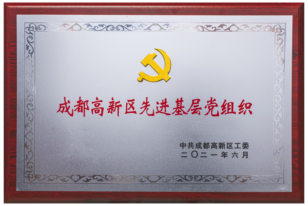 成都高新区先进基层党组织(图1)
