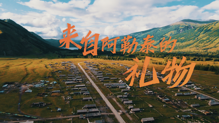 兴沙棘 保生态 惠民生(图10)