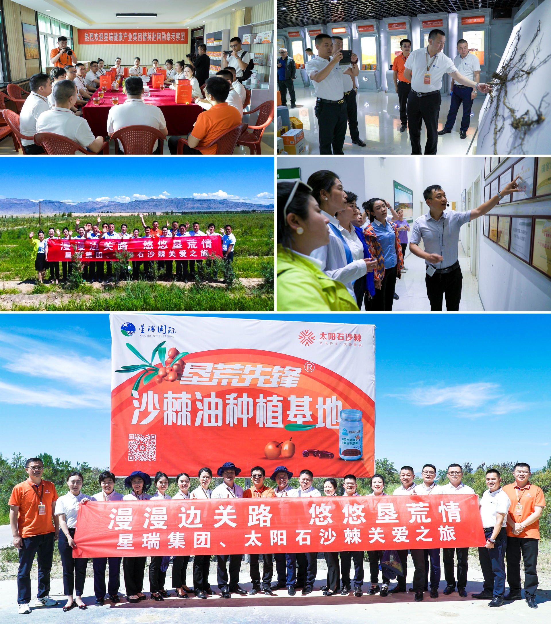 “垦荒先锋”沙棘油营养与健康高峰论坛在蓉成功举行(图18)