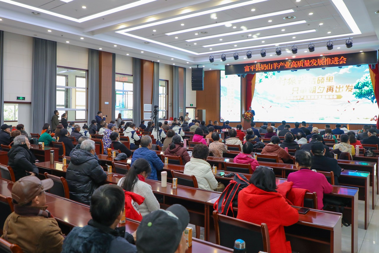 乡村振兴结硕果 只争朝夕再出发——富平县奶山羊产业高质量发展推进会成功举行(图3)