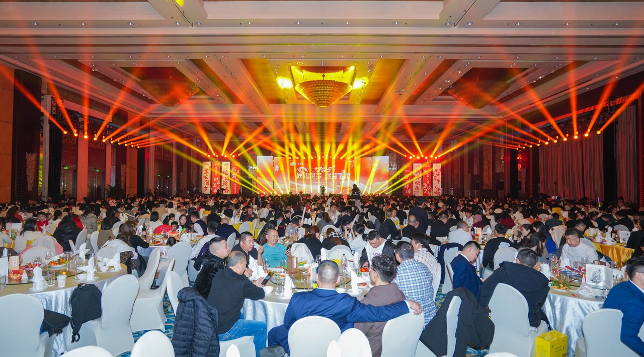 匠心耕梦 燃梦飞翔——星瑞集团2025年会盛典在蓉盛大举行(图5)
