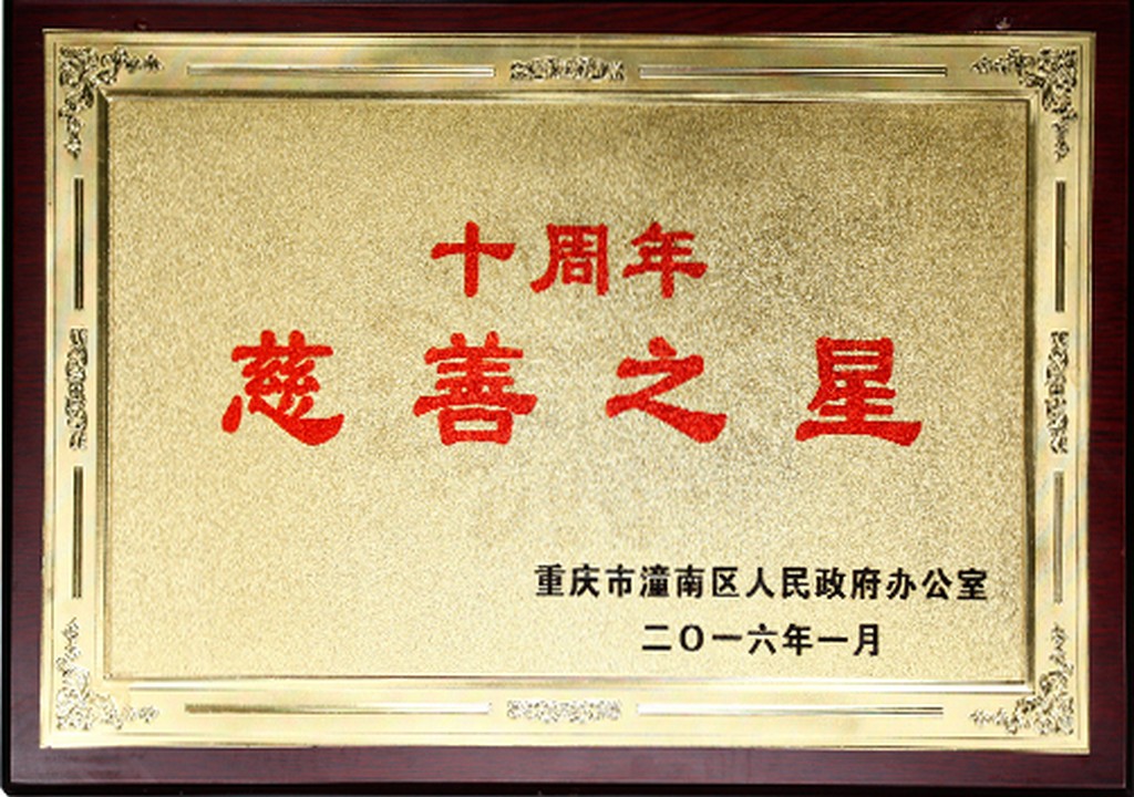 十周年慈善之星